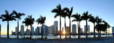 Miami skyline viewed over marina